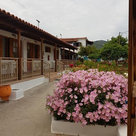 Asimina'S House Aparthotel Skiathos Town Ngoại thất bức ảnh