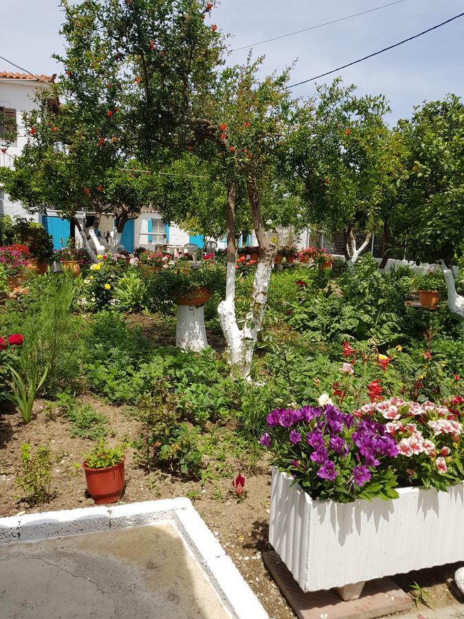 Asimina'S House Aparthotel Skiathos Town Ngoại thất bức ảnh