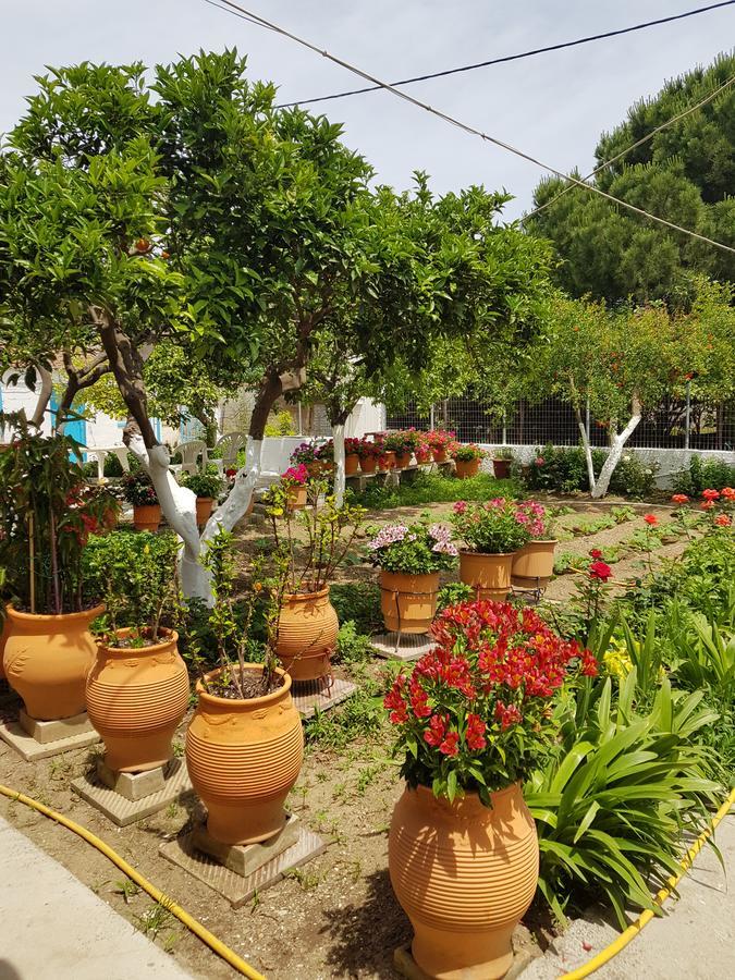 Asimina'S House Aparthotel Skiathos Town Ngoại thất bức ảnh